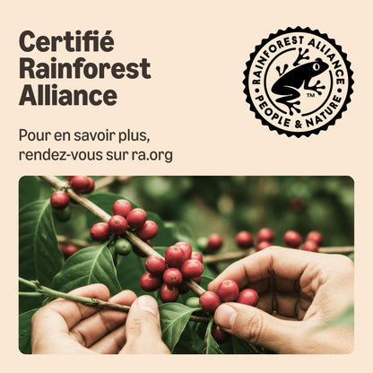 by Amazon Capsules de café Espresso Intenso compatibles Nespresso, Torréfaction Foncée, 100 unité (2 lot de 50) - Certifié Rainforest Alliance
